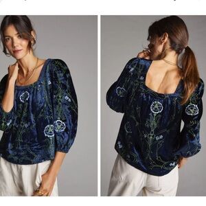 Anthropologie Velvet Embroidered Top Medium